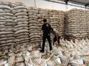 Warehouse Audit Kopra